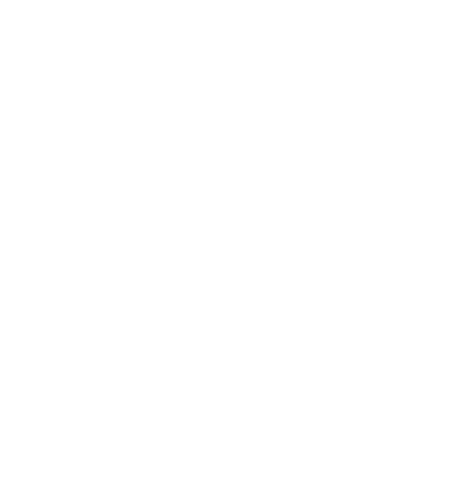 Logo White